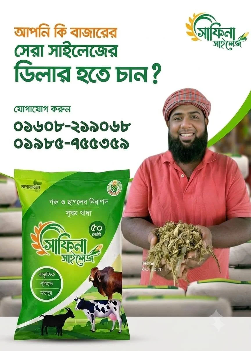ডিলারশিপ ও সরবরাহ