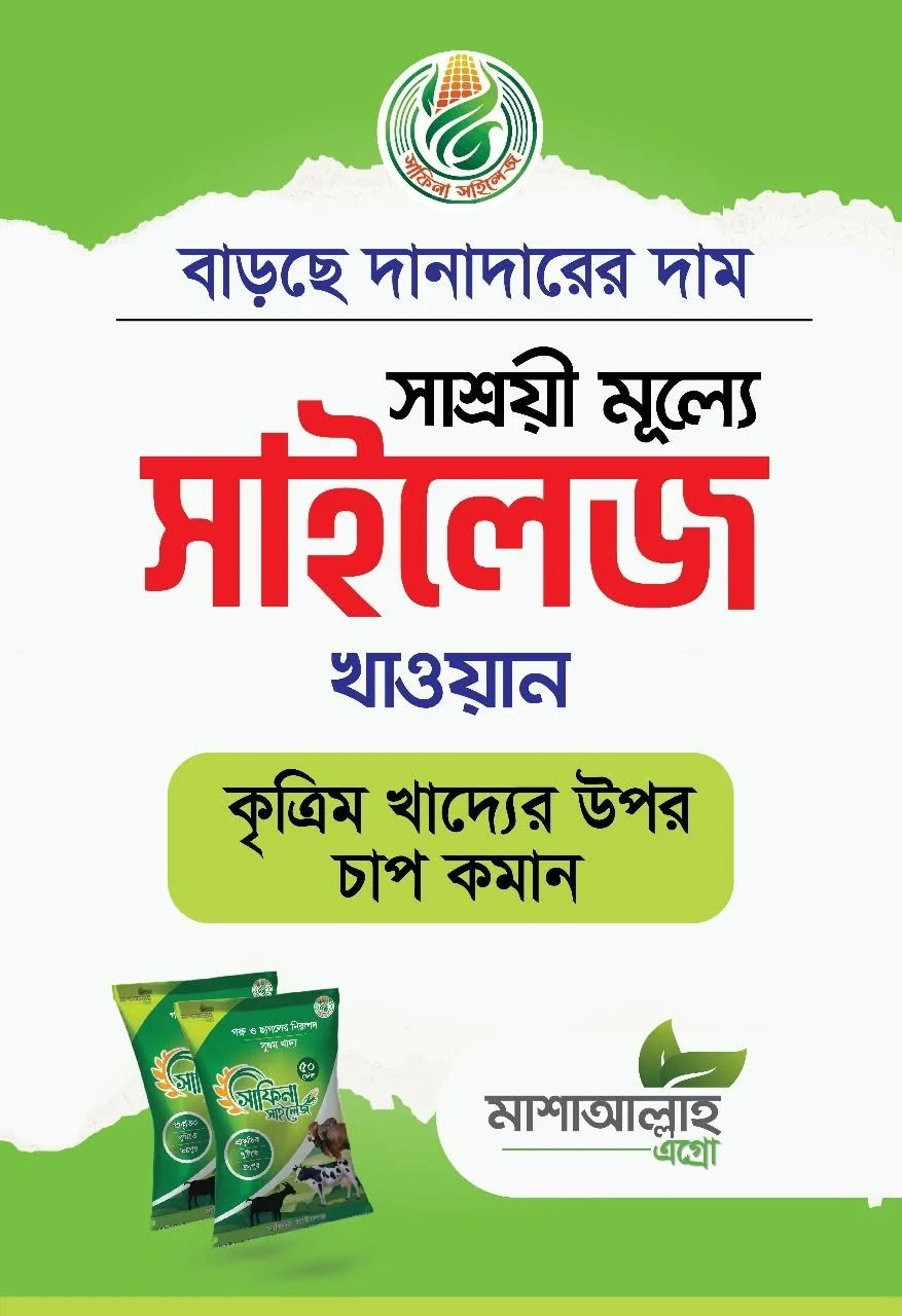সাশ্রয়ী খাদ্য পরিকল্পনা